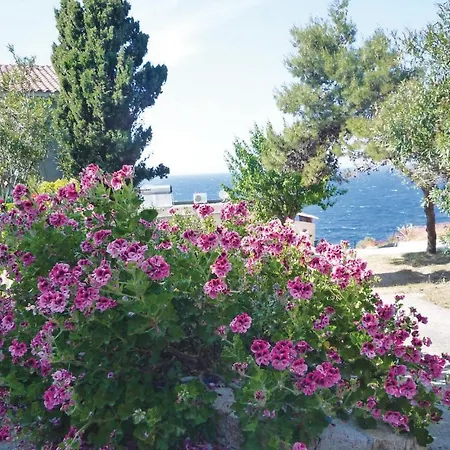 3 Bedroom Lovely In *